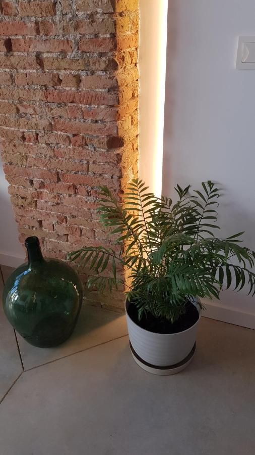 Loft Mariola - Apartamento En El Centro Historico Bocairent Exterior foto